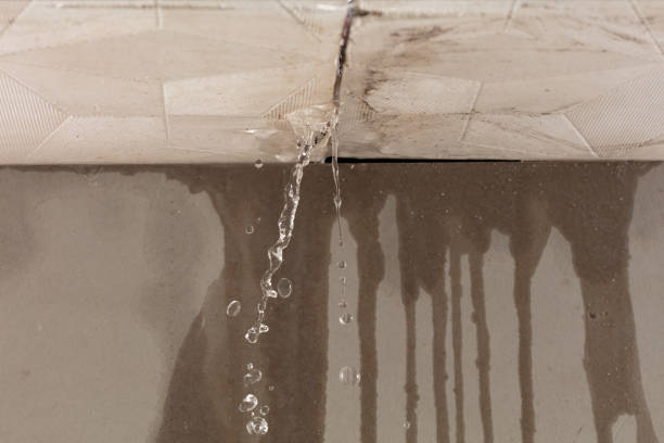Professional Burst Pipe Cleanup technician working in Dora, AL